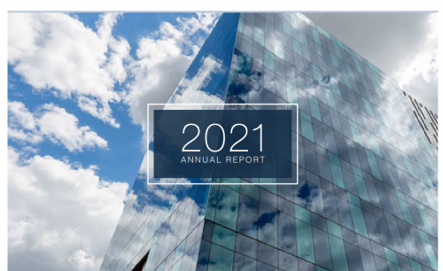 LVEDC 2021 Annual Report