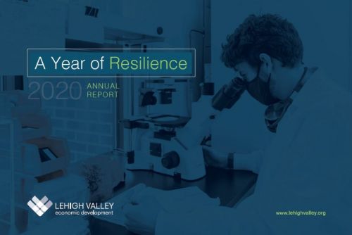 LVEDC 2020 Annual Report